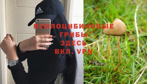 СК Абдулино