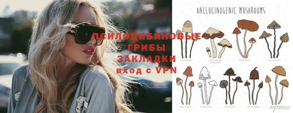 трава Абинск